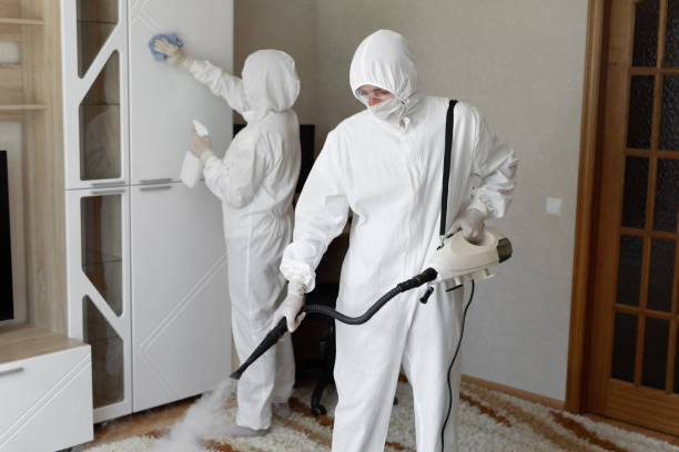 Best Certified Mold Removal  in Las Maravillas, NM